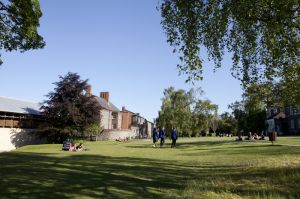 norwich 15.jpg